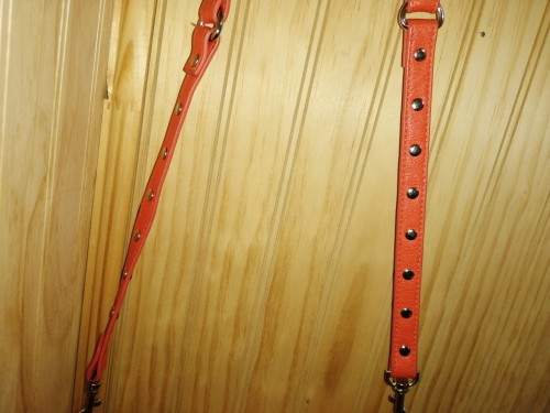 Cartera coral
